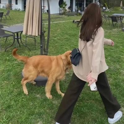 怪怪怪的妻子